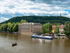 Bohemia Rhapsody reels